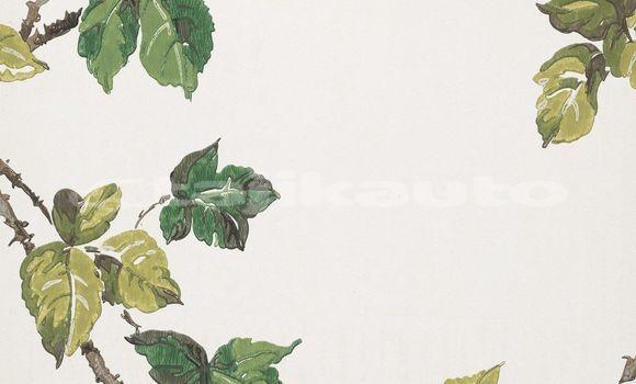 Medium with watermark image