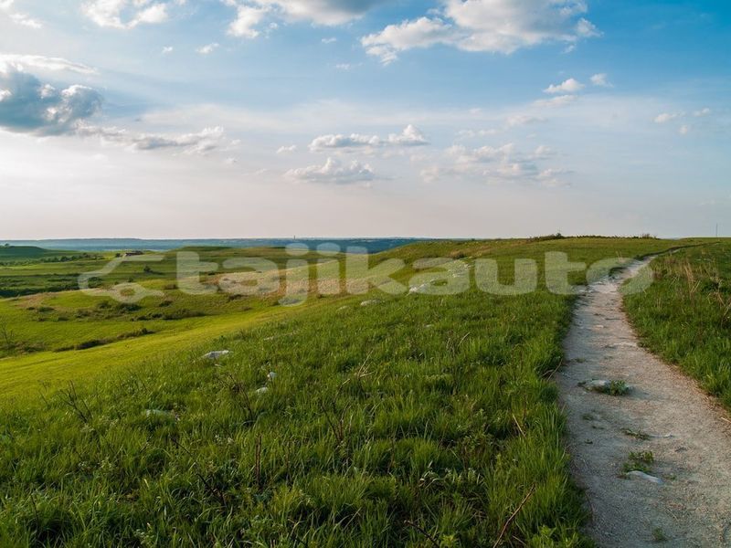 Big with watermark image