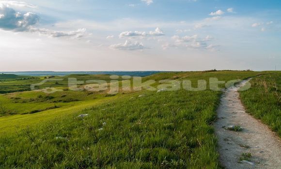 Medium with watermark image