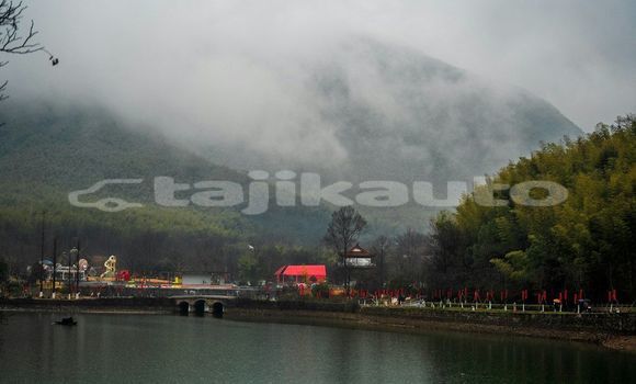 Medium with watermark image