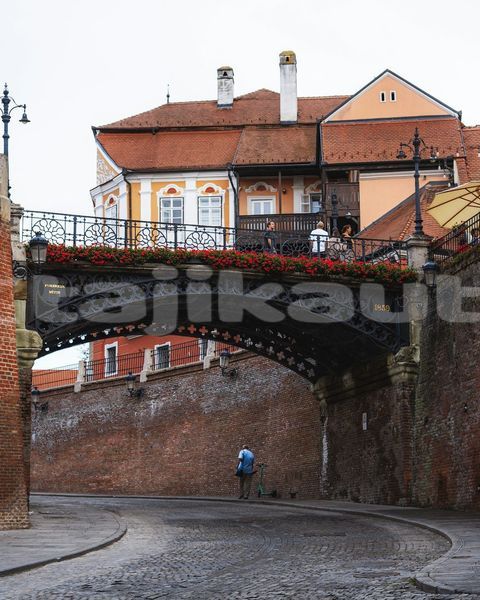 Big with watermark image