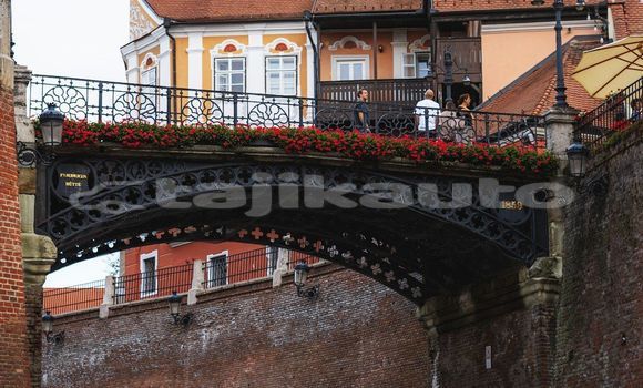 Medium with watermark image
