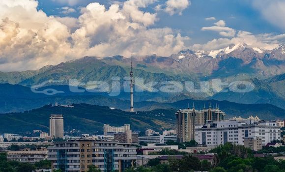 Medium with watermark image