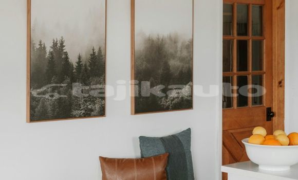 Medium with watermark image