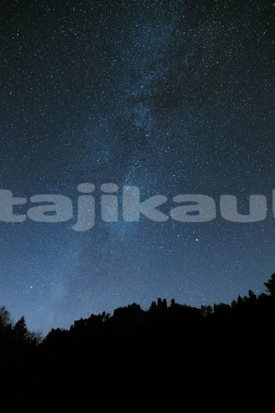 Big with watermark image