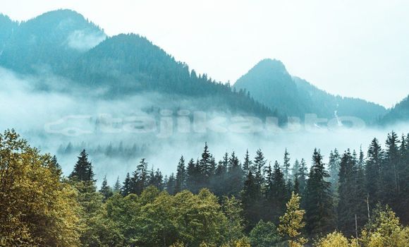 Medium with watermark image