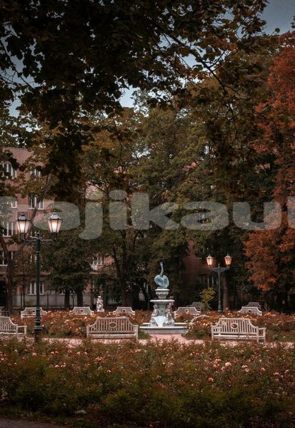Big with watermark image