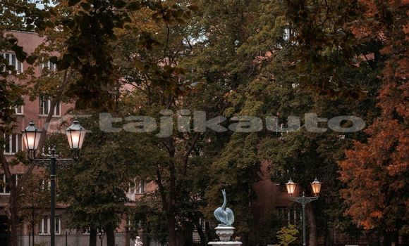 Medium with watermark image