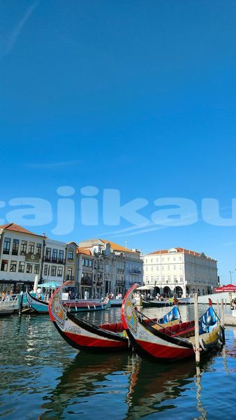 Big with watermark image