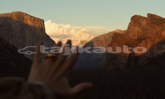 Medium with watermark image