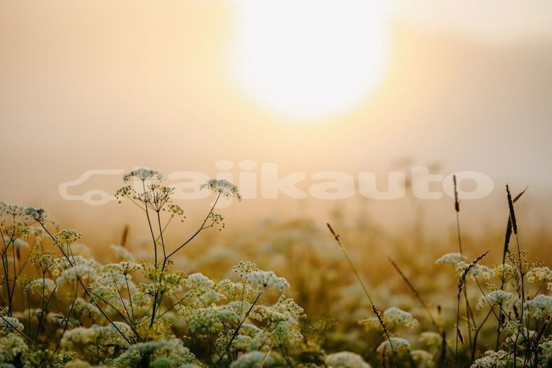 Big with watermark image