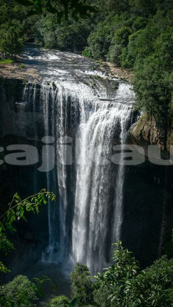 Big with watermark image