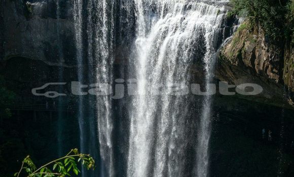 Medium with watermark image