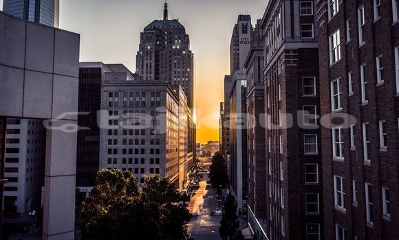 Medium with watermark image