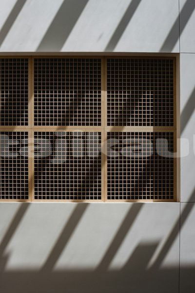 Big with watermark image