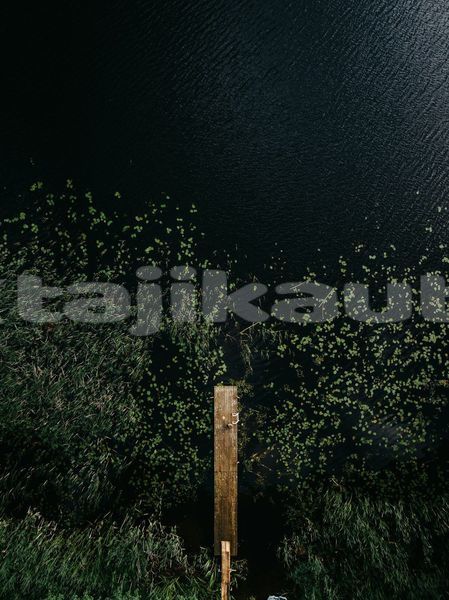 Big with watermark image