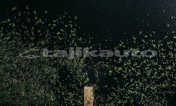 Medium with watermark image