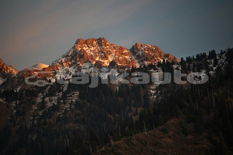Big with watermark image
