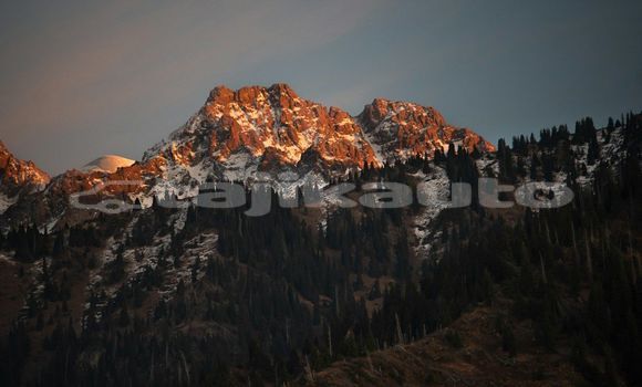 Medium with watermark image