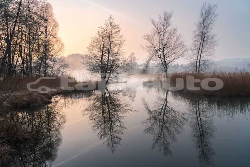 Big with watermark image