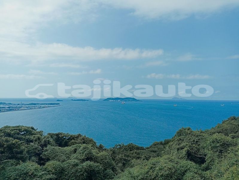 Big with watermark image