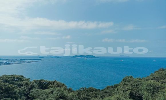 Medium with watermark image