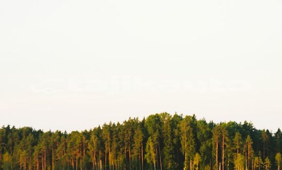 Medium with watermark image