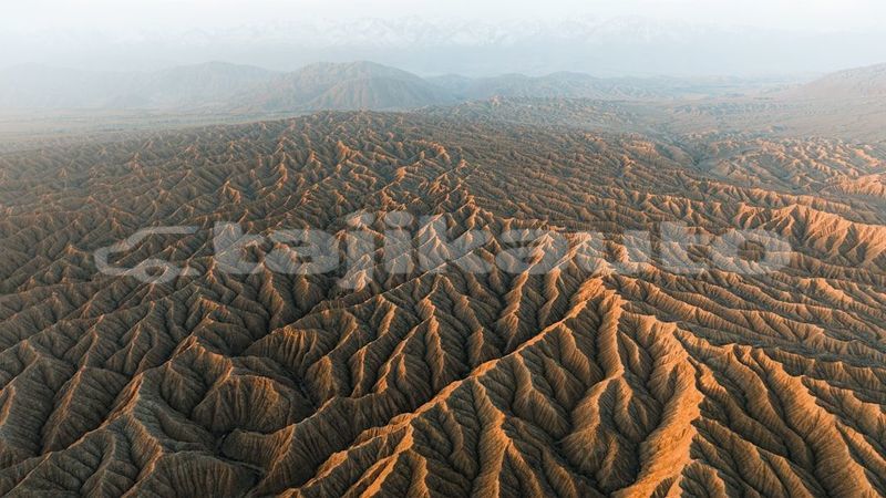 Big with watermark image
