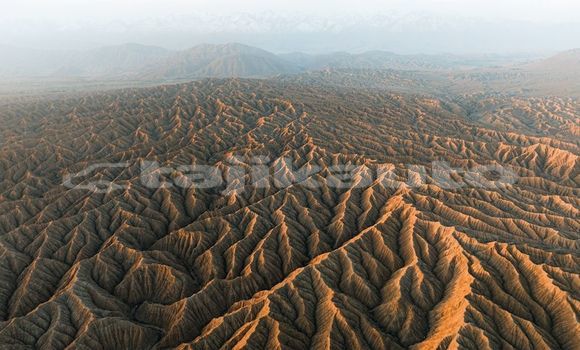 Medium with watermark image