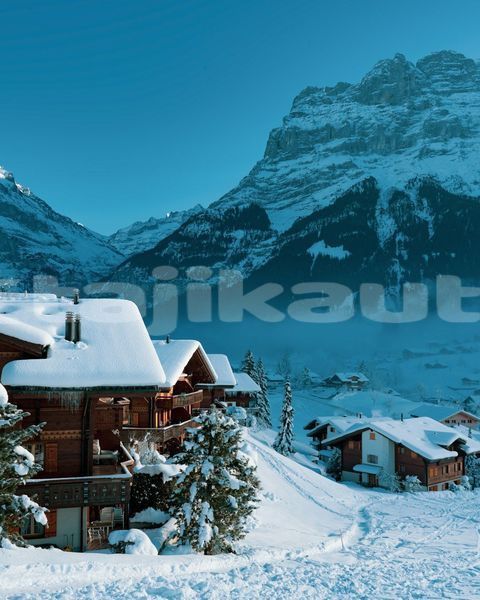 Big with watermark image