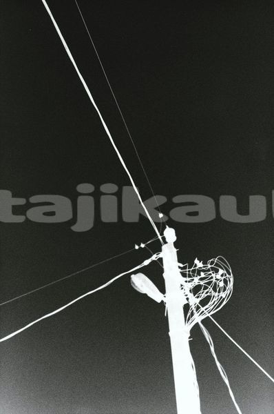 Big with watermark image