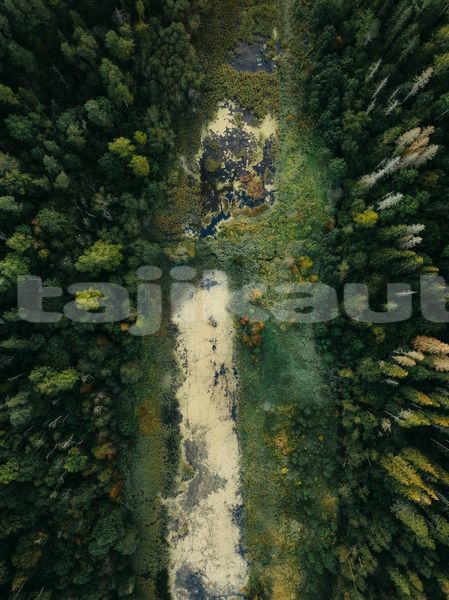Big with watermark image