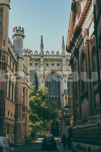 Big with watermark image