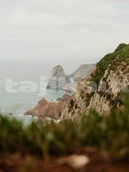Big with watermark image