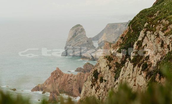 Medium with watermark image