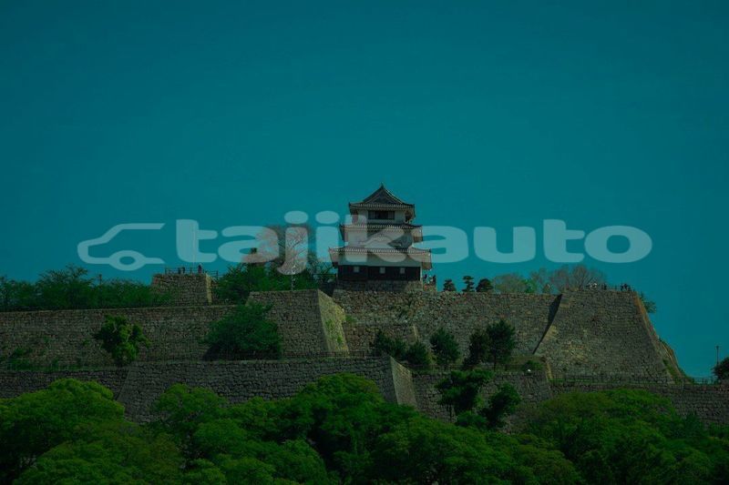 Big with watermark image