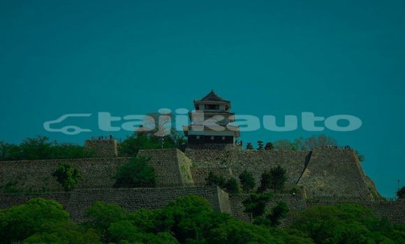 Medium with watermark image