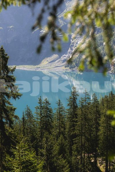 Big with watermark image