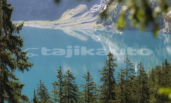 Medium with watermark image