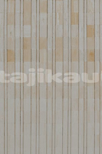 Big with watermark image