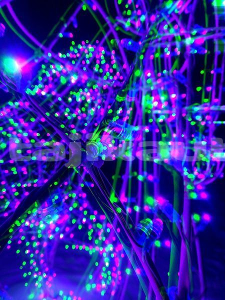 Big with watermark image