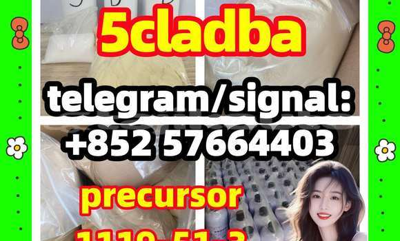 Medium with watermark 55