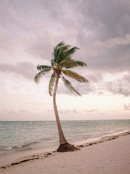 Big with watermark image