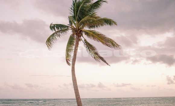 Medium with watermark image