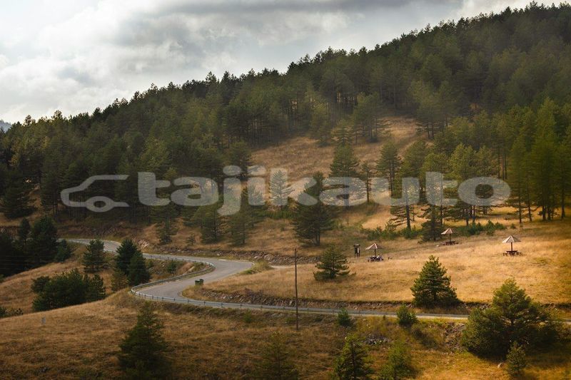Big with watermark image