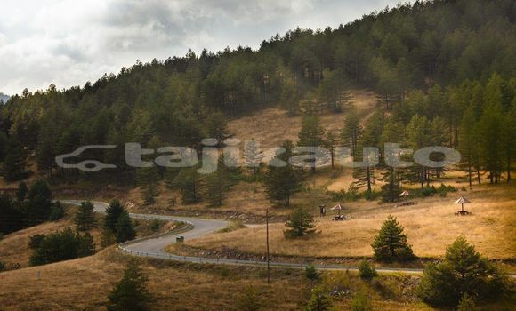 Medium with watermark image