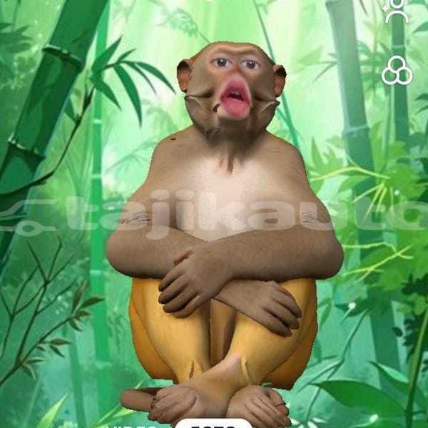 Big with watermark whatsapp image 2026 08 16 at 10.06.00