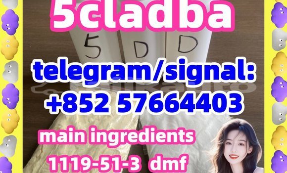 Medium with watermark 51