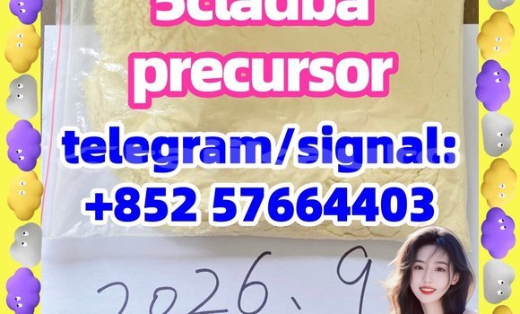 Medium with watermark 52