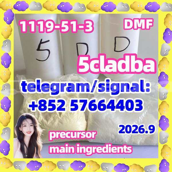 Big with watermark 53